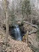 Portrait photograph showing Buttermilk Falls and stairway leading down to the base of the falls