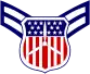 Cadet airman first class insignia