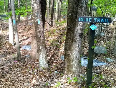 An example of several different trail markers in use: wooden sign, blue diamond sign, light blue paint blazes.  The Housatonic Range Trail (AKA Candlewood Mountain Trail) crossing on Squash Hollow Road in New Milford, CT.