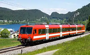 Red train with white stripes with a lake in the background