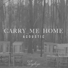 "Carry Me Home" (acoustic) cover art