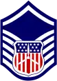 Cadet master sergeant insignia