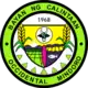 Official seal of Calintaan