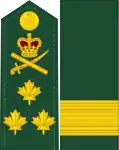 Dress uniform tunic - shoulder and sleeve