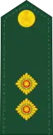 LieutenantFrench: Lieutenant(Canadian Army)