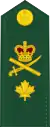 Brigadier-general(French: Général de brigade)(Canadian Army)