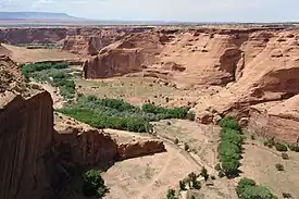 View westward from upper Canyon de Chelly, (from White House Ruin), with Black Mesa on the horizon.