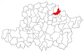 Location in Arad County