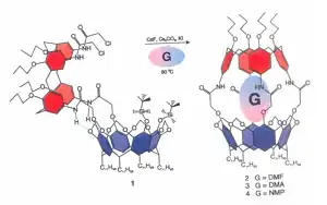 "Image of calix-[4]-arene carceplex"