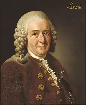 Carl von Linné, botanist, physician, and zoologist