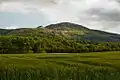 Carlton Bank from near Great Busby