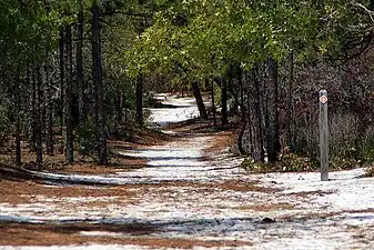 Hiking trails can be found throughout the park