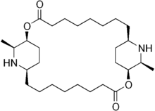 Skeletal formula of carpaine