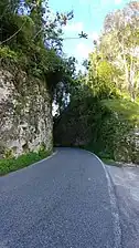 Road from Utuado to Barceloneta in Ciales