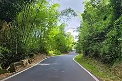 Road from Orocovis to Corozal in Orocovis