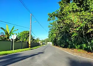 Puerto Rico Highway 6659 in Maguayo