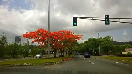 Eastern terminus of PR-8 at PR-3 interchange between San Juan and Carolina