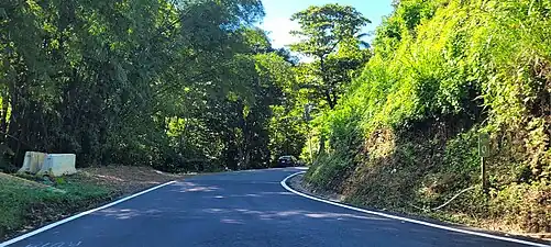 Puerto Rico Highway 810 in Achiote