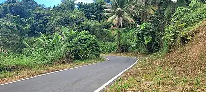 Puerto Rico Highway 8811 in Lomas