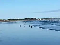 Carters Beach at low tide