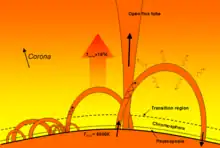 Diagram of the low corona and transition region, where many scales of coronal loops can be observed