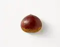 Chestnut fruit