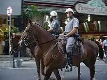 São Paulo State Military Police (PMESP) Mounted Police officers in São Paulo, Brazil.