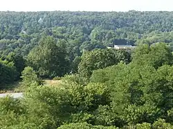 Centralia as seen from South Street, July 2010