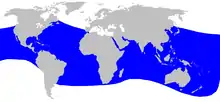 Blainville's beaked whale range