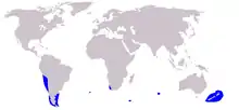 Dusky dolphin range