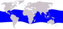 Melon-headed whale range