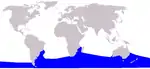 Southern right whale range