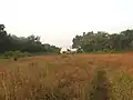 A chapel in Aldona Goa