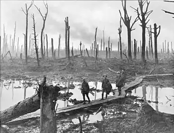 Image 8Australian soldiers in Chateau Wood, near Hooge, in the Ypres Salient, 29 October, 1917. Photo credit: Frank Hurley.