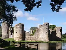 The Chateau of Commequiers