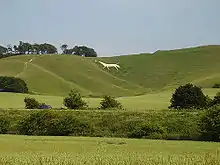 The Cherhill White Horse near Cherhill