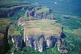 A tepui within the Chiribiquete National Park.