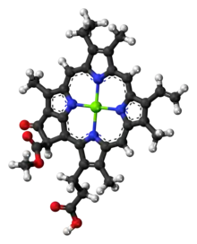 Chlorophyll c1 molecule