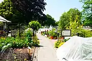 Curator's House Herb garden