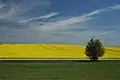 Fields near Unín