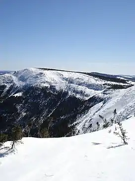 Cirque du Mont Lyall