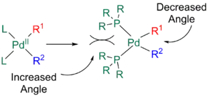 Cis-reductive elimination in the Stille reaction