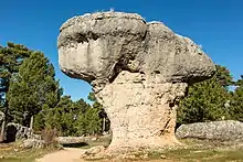 One of Ciudad Encantada's rock formations: The top of this wall of stone is rounded and wider than its base; sparse forestation surrounds the formation.