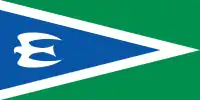 Civil Will Green Party flag