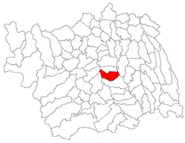 Location in Bacău County