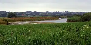 Dedham Vale near Manningtree