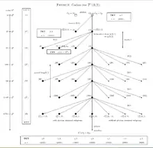 Coclass1Tree3Groups