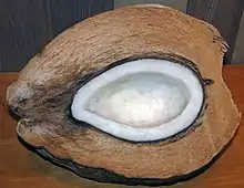 Split coconut in husk