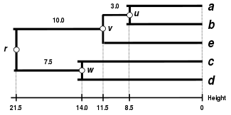 WPGMA Dendrogram 5S data