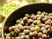 Ripe grapes (foreground) and unripe grapes (background).  Unripe grapes can be made into verjuice.